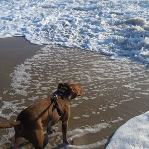 Meet your Posher, Ian